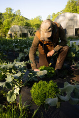 A young farmer hipster stands confidently in a lush green field, exuding a sense of connection to nature and a modern aesthetic. 