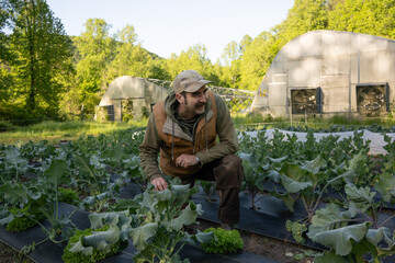 A young farmer hipster stands confidently in a lush greenhouse, exuding a sense of connection to nature and a modern aesthetic. 
