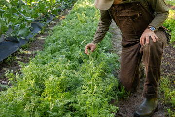 A young farmer hipster stands confidently in a lush green field, exuding a sense of connection to nature and a modern aesthetic. 