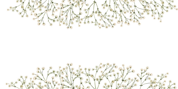 Premium Photo  Bouquet of gypsophila, white small flowers on a gray  background, space for text