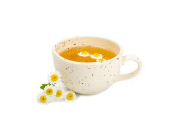 Delicious tonic, soothing and relaxing chamomile tea with chamomile flowers isolated on white background. Herb tea.