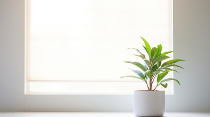 plant in a window. Generative AI