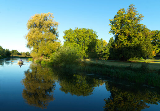 Man in rowboat and trees reflected in river