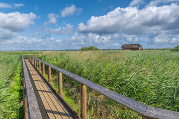 Vejlerne national protected park walking paths and bird watching stations, Denmark