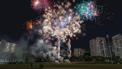 Fireworks at the heartland during Singapore National Day Parade - obrazy, fototapety, plakaty