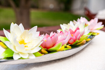 Waterlilies