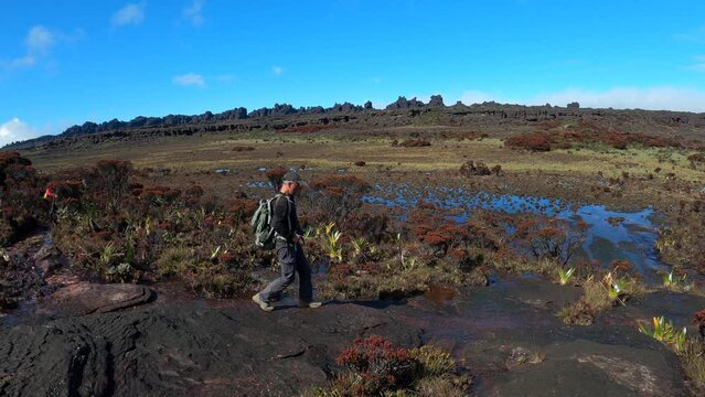 Tourist with backpack walking on flat top of Mount Roraima, Canaima National Park, Venezuela, South America