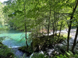 Obraz premium vallée de la loue