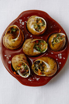 Plate of escargot