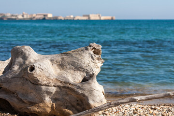 Fototapeta premium Driftwood by blue waters