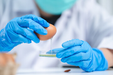 Scientist testing gmo egg for quality control of eggs in chemical laboratory, Food science expert inspecting a dairy product, Agriculture farm production industry, biotechnology medicine research