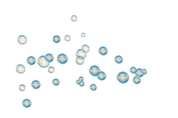Fototapeta na wymiar Soap bubble floating transparent background. Realistic air water foam bubble with rainbow colors. Bubble PNG.
