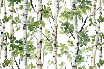 Foto auf Acrylglas Watercolor seamless pattern of birch trees with branches. Nature template with forest graphic of stems on white background. © Vusal