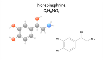 Norepinephrine. Simplified molecule model and structural formual.