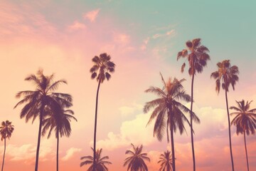 Plakat palm trees at sunset 