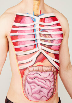 Painting of internal organs on man's body