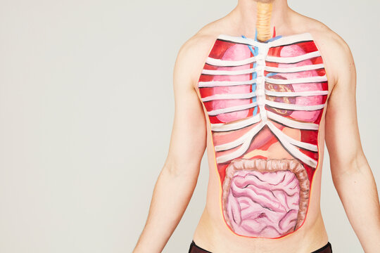 Painting of internal organs on man's body
