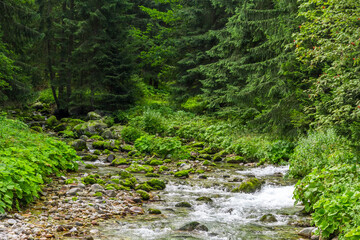Waterfall in nature in daylight