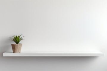 a wall shelf against a white wall with a plant