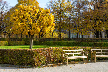 Picture of some trees in nature