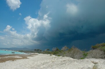 Sea storm in Rosignano Marittimo ( Livorno)