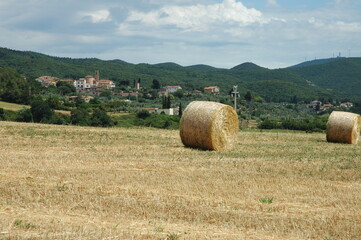 Santa Luce Nature Reserve. Province of Pisa
Reserve around the natural lake of Santa Luce. With...