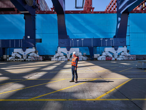Dock worker standing beneath cargo cranes in sunlight, Felixstowe, England.