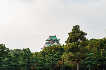 A Path Through Japanese Tradition