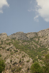 Fototapeta na wymiar landscape in the rocky mountains against blue sky 