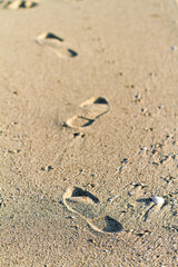 Footprints across wet beach sand