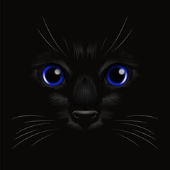 Vector 3d Realistic Blue Cats Eye of a Black Cat in the Dark, at Night. Cat Face with Yes, Nose, Whiskers on Black. Cat Closeup Look in the Darkness. Front View