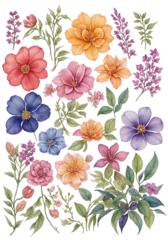 Tuinposter set of watercolor flowers and beauty of various floral species on transparent background © Nisit