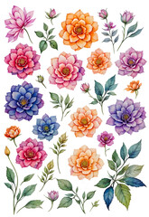 set of watercolor flowers and beauty of various floral species on transparent background
