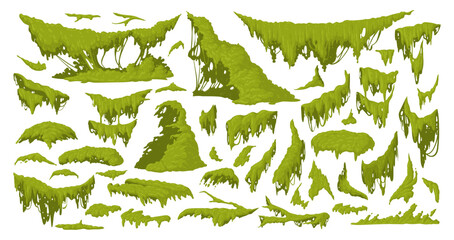 Cartoon jungle moss. Green moss plants, hanging and creeping lichen and moss flat vector illustration set. Rainy forest flora collection