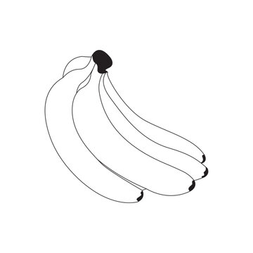 banana isolated on white background banana line art illustration