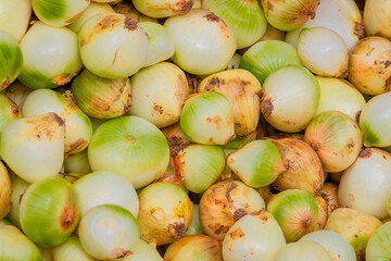 Selling white onions at the vegetable market