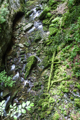 River in countryside