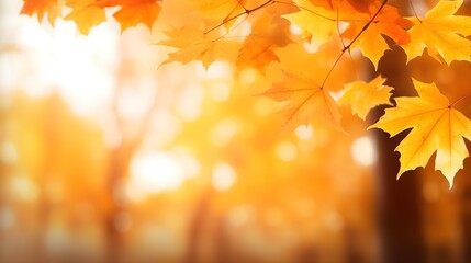 Fototapeta na wymiar Farbenfrohes Bokeh: Herbstblätter schaffen eine verträumte Kulisse