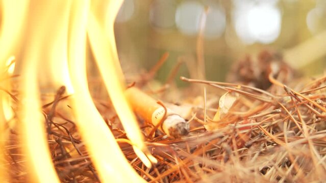 Cigarette cr&eacute;e un d&eacute;part d'incendie