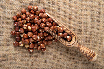 Hazelnuts and wooden shovel on a burlap sack