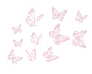 Obraz na płótnie Canvas butterflies and butterfly set
