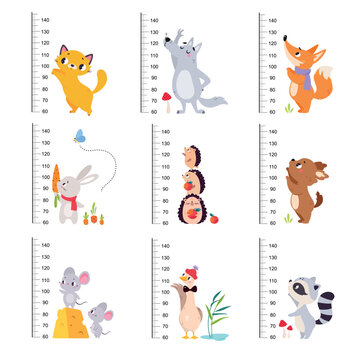 Growth Rulers with Cute Animal at Kids Height Meter Vector Set