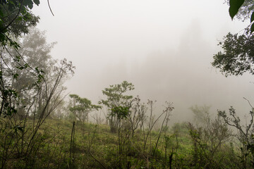 Foggy countryside in Sao Francisco de Paula, Brazil
