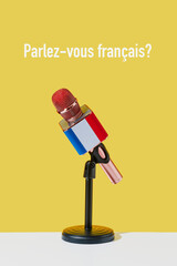 microphone and question do you speak french