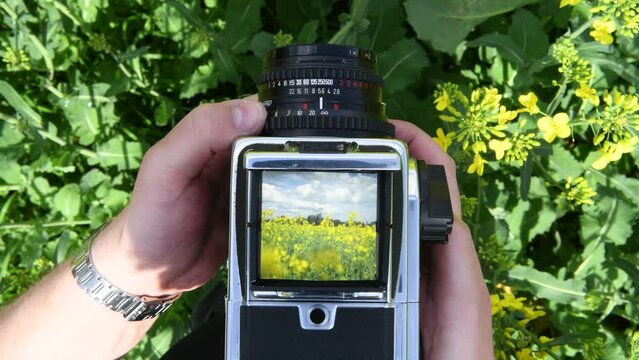 Person taking a photo of a rape field with an old viewfinder camera.	
