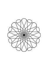 Rosette in form einer sternförmigen blüte mit einer vielzahl sich netzartig überlappenden schwarzen linien