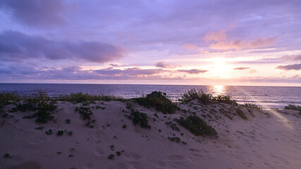 Sunset at the atlantic beach with sand dune and grass over the sea in vacation. 