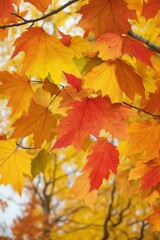 Naklejka na ściany i meble Autumn maple leaves background. Generative AI.