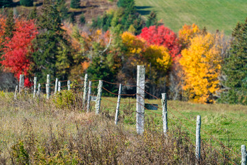 Fototapeta na wymiar Old weathered fence posts along farm fields in rural Prince Edward Island, Canada.