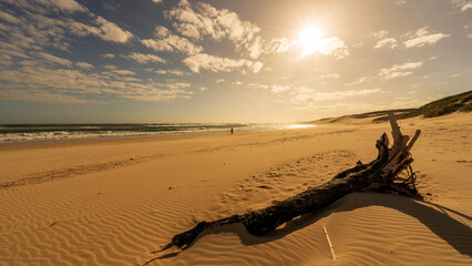 Sardinia Bay Beach on a sunny afternoon, Port Elizabeth, South Africa